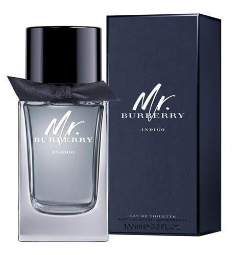 mr. burberry indigo eau de toilette 100ml|mr Burberry cologne.